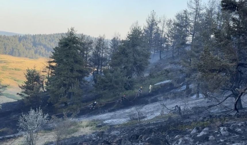 Ankara-Çankırı sınırında orman yangını! 60 personel ve 14 araçla müdahale edildi