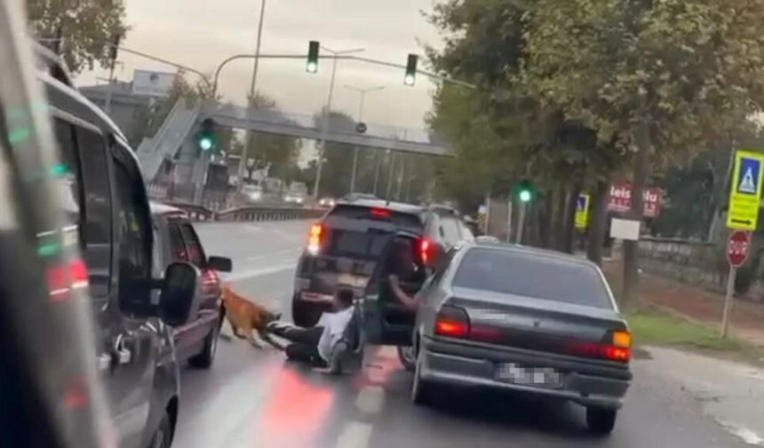 Sakarya'da korku dolu anlar: Köpek vatandaşa saldırıp yerde sürükledi!