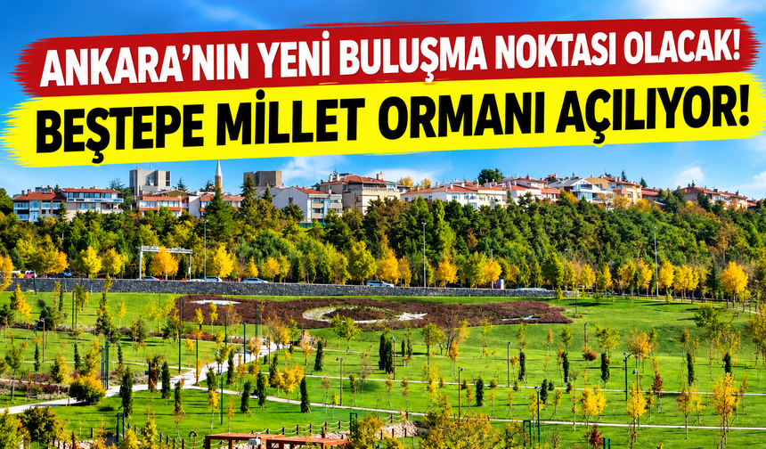 Ankara'nın yeni buluşma noktası olacak! Beştepe Millet Ormanı açılıyor!
