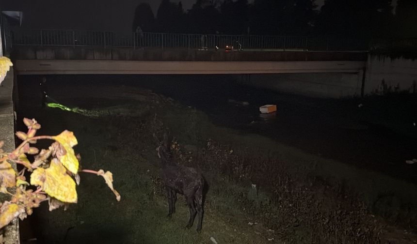 Düzce’de kurtarma çalışması sırasında sahibini gören eşek ona koştu