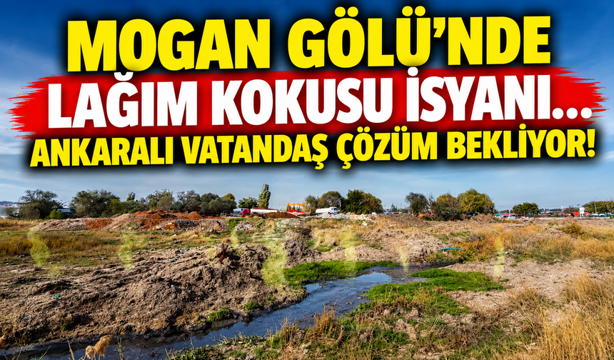 Mogan Gölü'nde lağım kokusu isyanı... Ankaralı vatandaş çözüm bekliyor!
