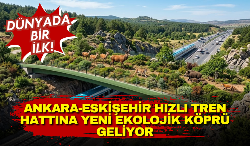 Dünyada bir ilk! Ankara-Eskişehir hızlı tren hattına yeni ekolojik köprü geliyor