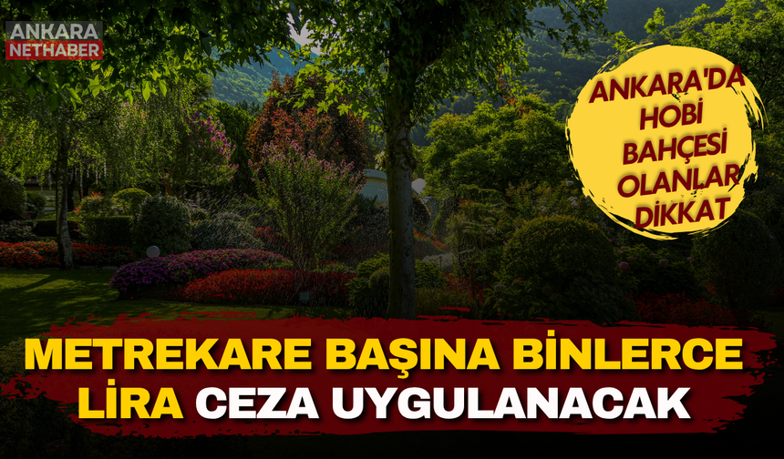 Ankara'da hobi bahçesi olanlar dikkat! Metrekare başına binlerce lira ceza uygulanacak